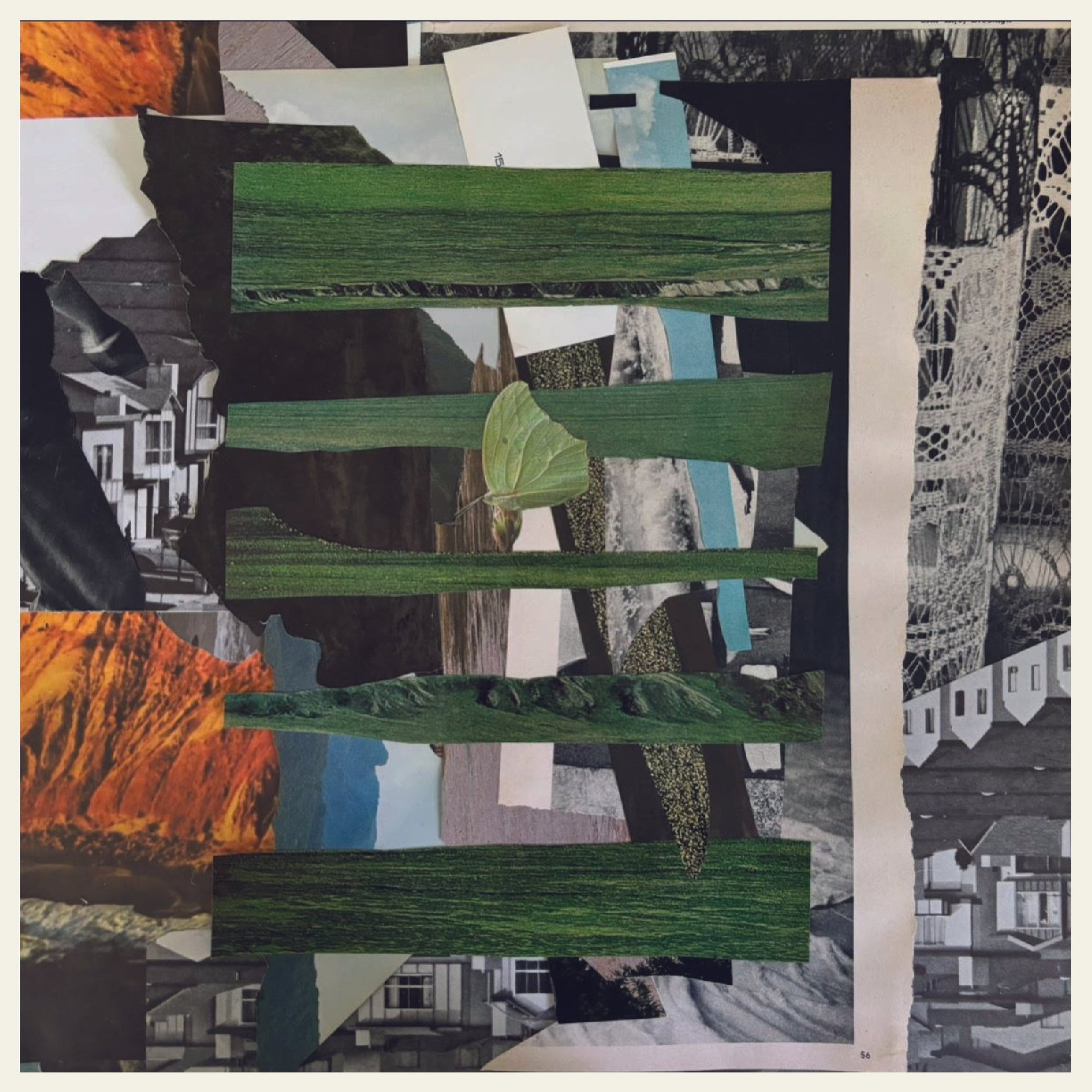 Jack Campbel - Title Fight / Floral Green